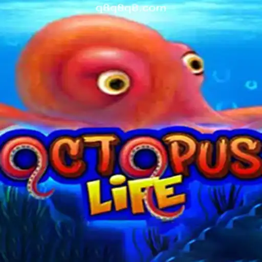 Dive into the Excitement of OctopusLife on Q8Q.COM Platform